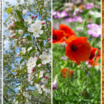 media-174011702764723400.webp.webp - NewsFactor