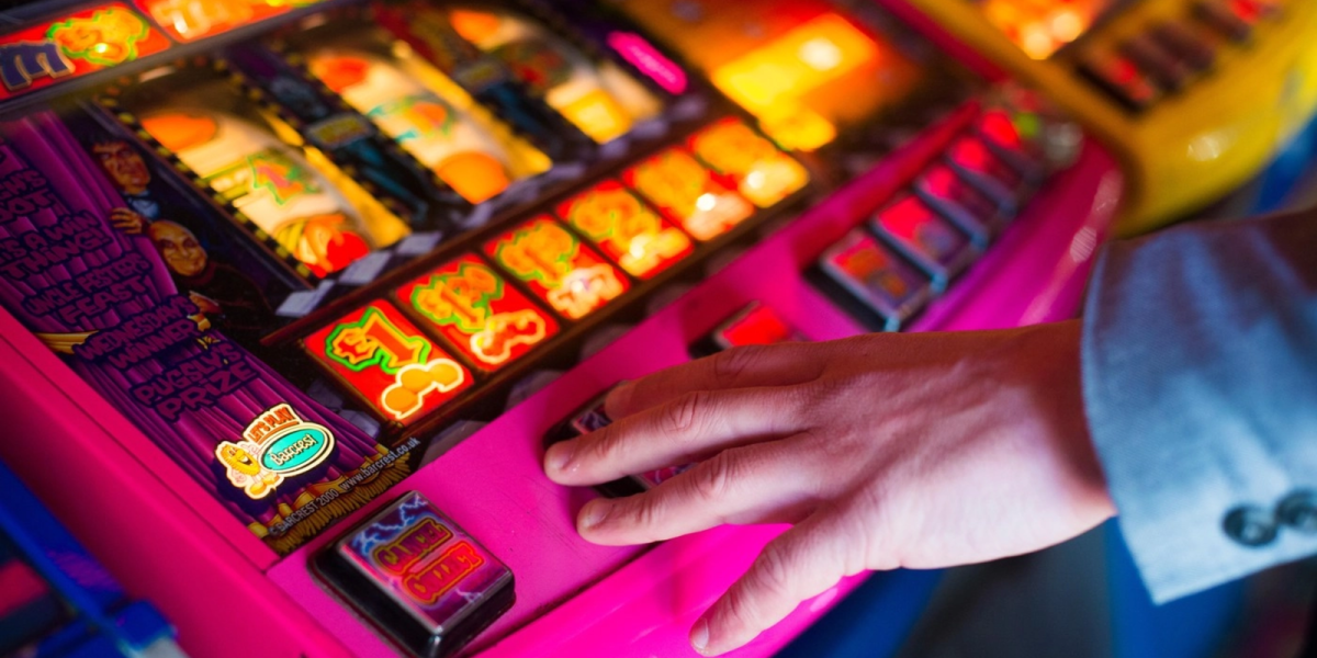 media-174017552672573400.webp.webp - NewsFactor