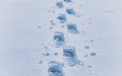 Iarna nu pleacă din munți: Salvamont avertizează, echipamentul adecvat e vital