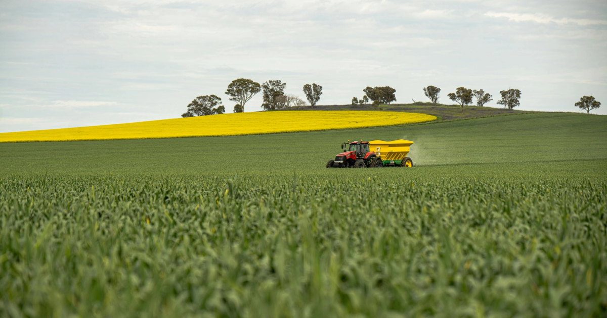 România: Expertul dezminte panica! Piața e speculativă, nu cu probleme