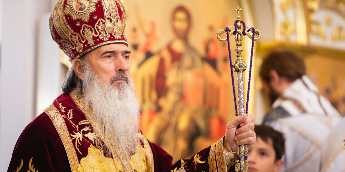 media-174258656783768400.webp.webp - NewsFactor