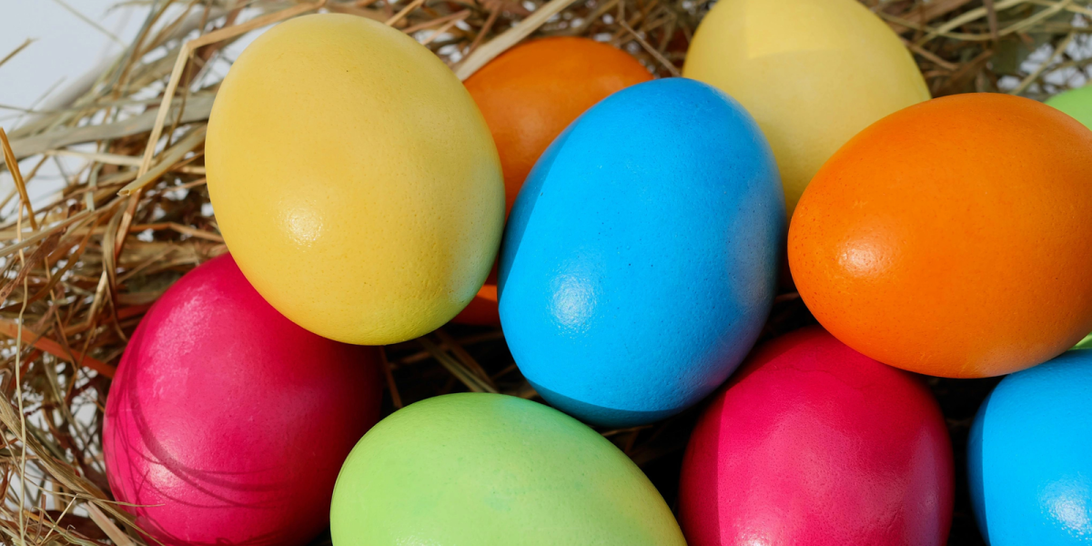 media-174461450667986500.webp.webp - NewsFactor