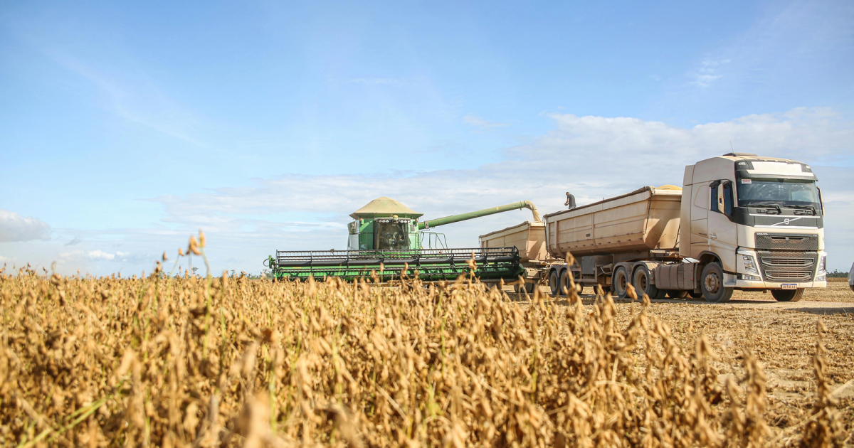 Producția de îngrășăminte, „necesitate strategică” pentru România, avertizează FAPPR