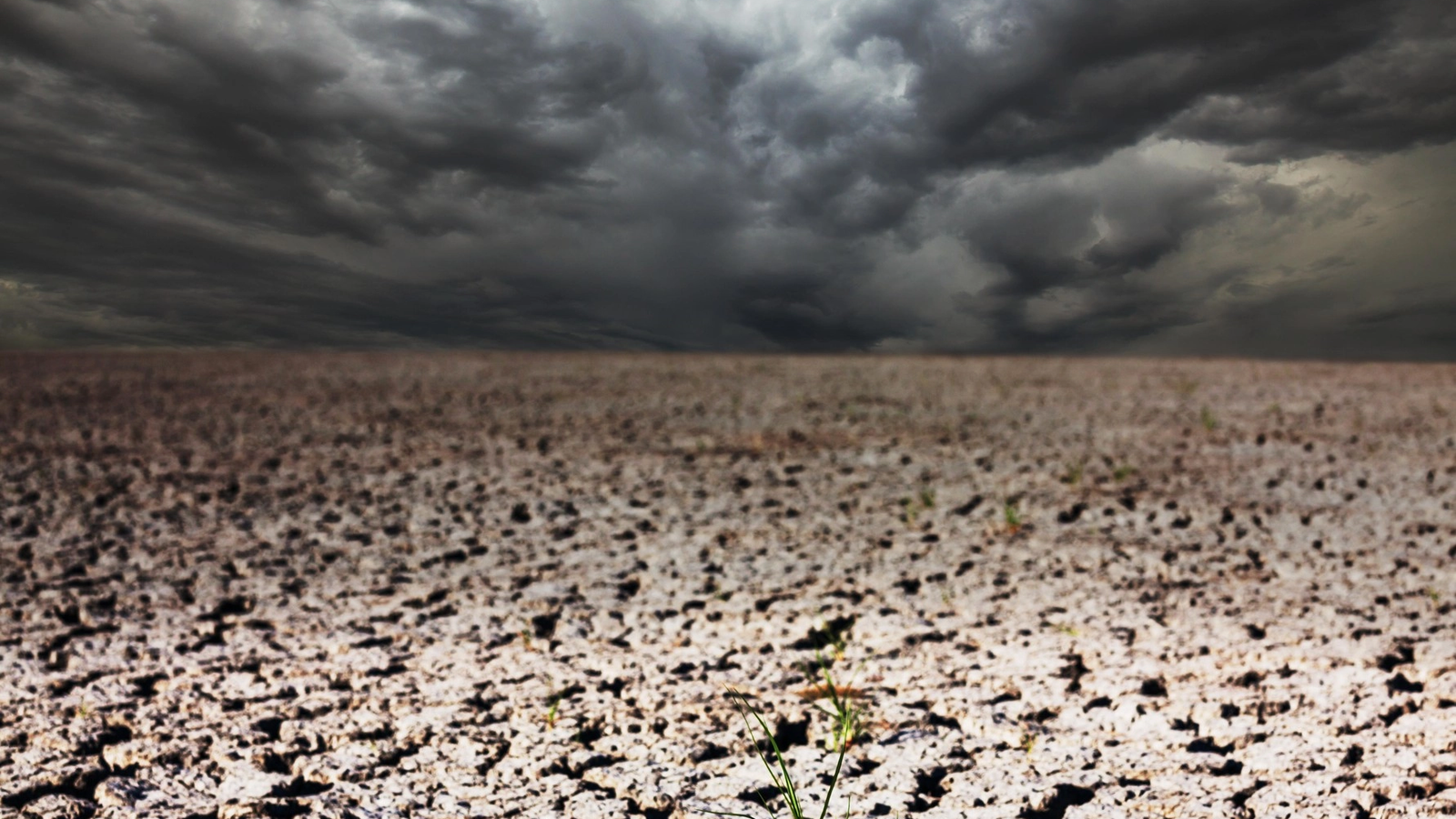 Conform unui studiu recent, secetele prelungite cauzate de schimbările climatice ar putea contribui la apariția unor bacterii rezistente la antibiotice