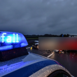 media-175497940237553400.webp.webp - NewsFactor