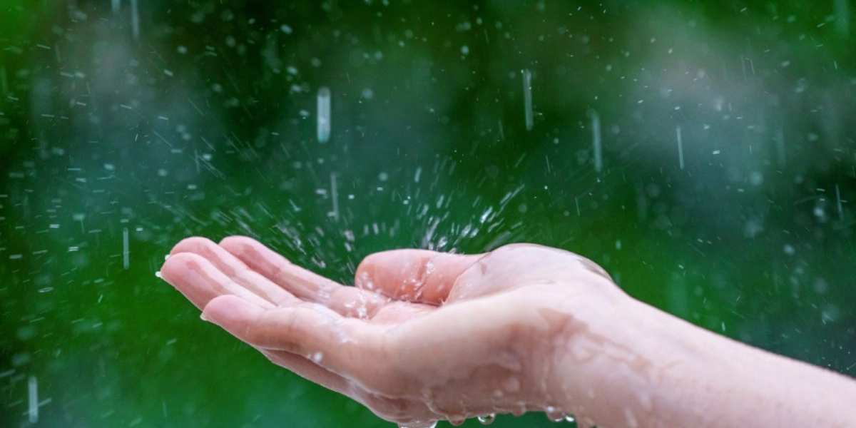 media-175568500891110700.webp.webp - NewsFactor