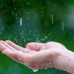 media-175568500891110700.webp.webp - NewsFactor