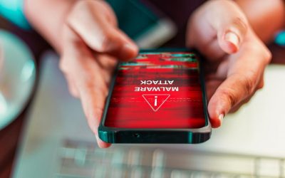 Mesaje false APIA: Ministerul Agriculturii avertizează să NU dați date