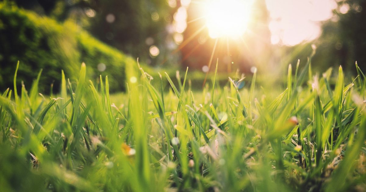 Vremea se încălzește în România, dar plouă: Când și unde va fi furtună