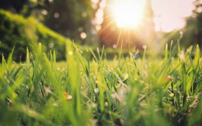 Vremea se încălzește în România, dar plouă: Când și unde va fi furtună