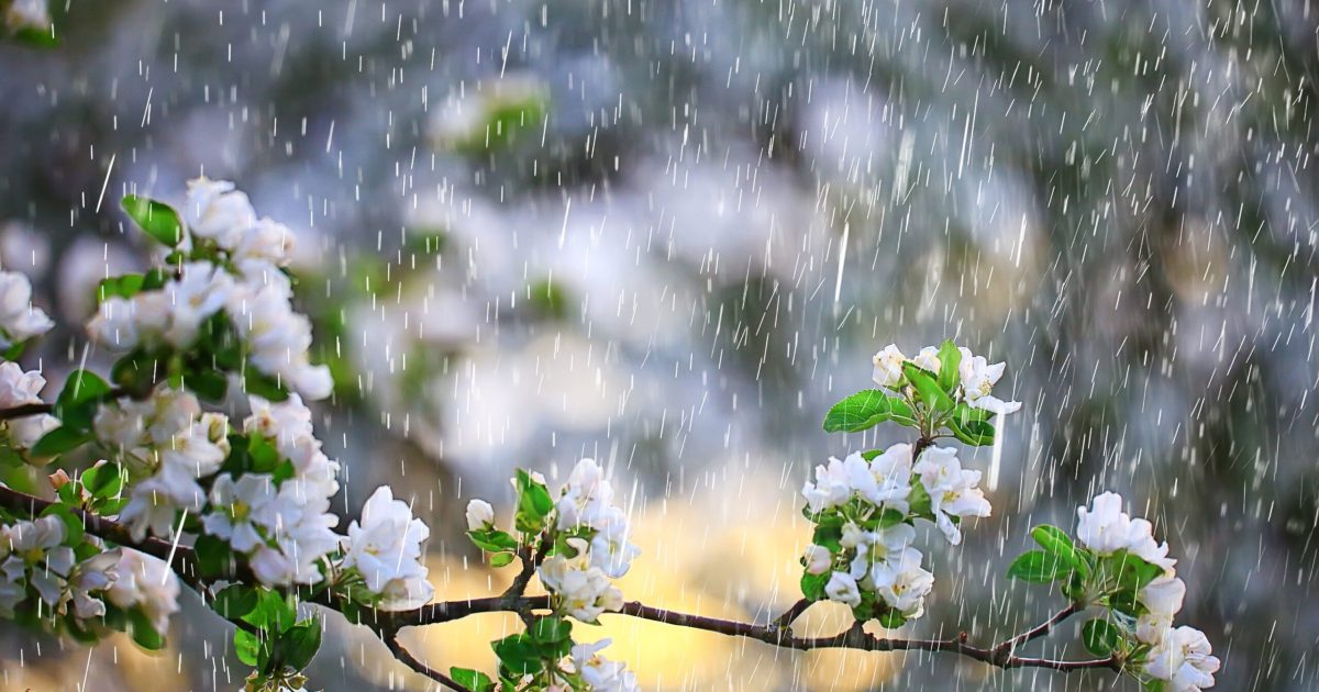 Scăderea bruscă a temperaturilor aduce ploi în România