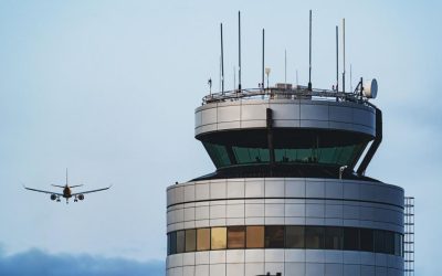 Miaunături la bord: Piloții unui zbor intern au imitat pisici și câini pe radio