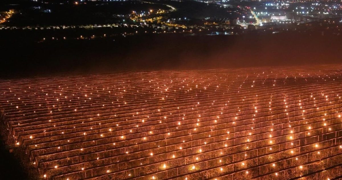 Fermierul clujean, gest nebunesc: 40.000 de euro în flăcări pentru cireși