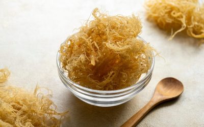 Muşchi de mare: Superaliment sau simplu trend? Experții au răspunsul