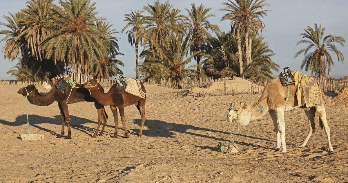 Materialul-minune: „betonul” viitorului schimbă fața lumii