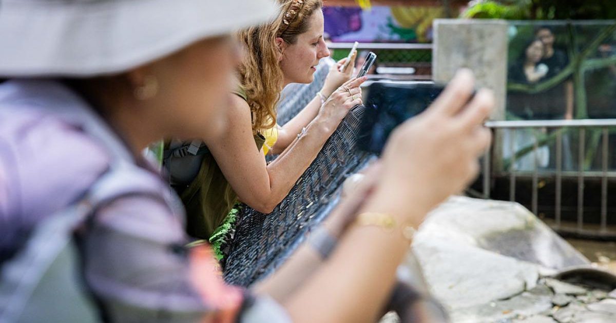 Ruşii, obligați să trăiască fără internet: VKontakte și MAX, singurele rețele stabile