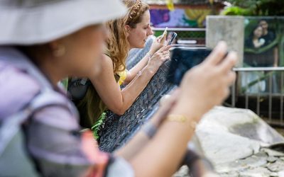 Ruşii, obligați să trăiască fără internet: VKontakte și MAX, singurele rețele stabile