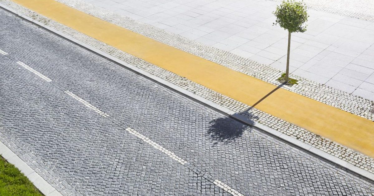 O „prăpastie verde” separă BOGĂȚII de SĂRACI: Copacii, un LUX în Europa