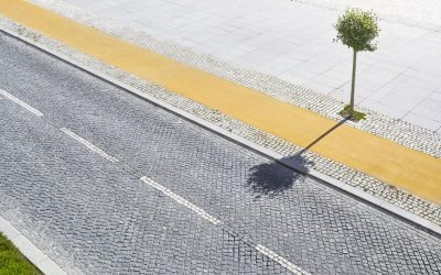 O „prăpastie verde” separă BOGĂȚII de SĂRACI: Copacii, un LUX în Europa