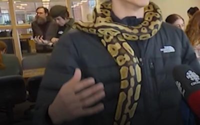 Șerpi, arma anti-stres pentru studenți. O universitate din CANADA, metoda inedită