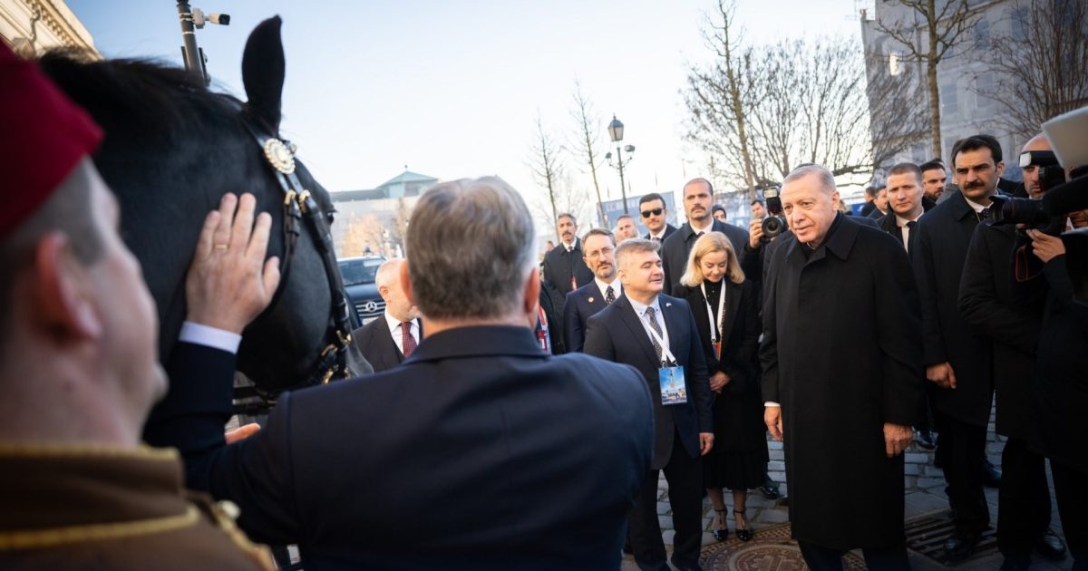 Magyar, discuții cu Erdoğan: Liderul turc, invitat la Budapesta. Orban a primit un cal