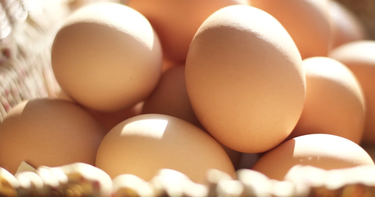 Alertă alimentară: 1,5 milioane de ouă cu Salmonella, înainte de Paște