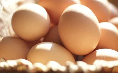 Alertă alimentară: 1,5 milioane de ouă cu Salmonella, înainte de Paște