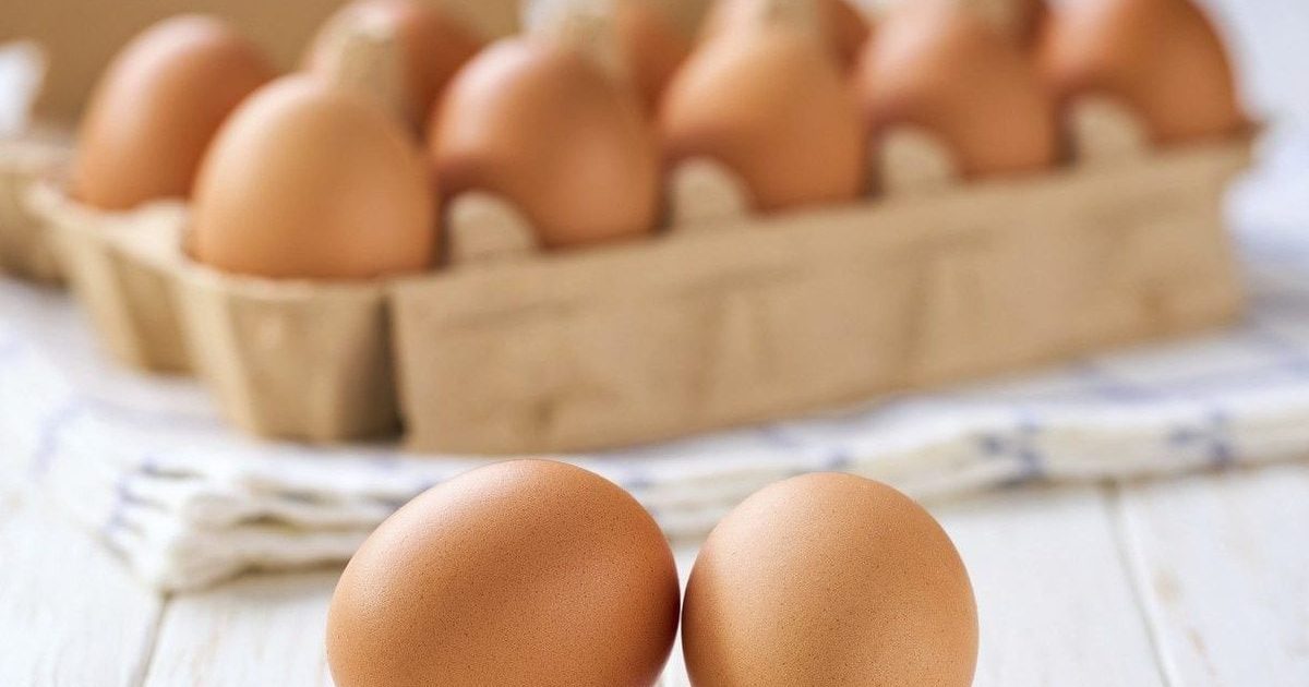 Ouă cu Salmonella: 1,5 milioane retrase de urgență de pe piață