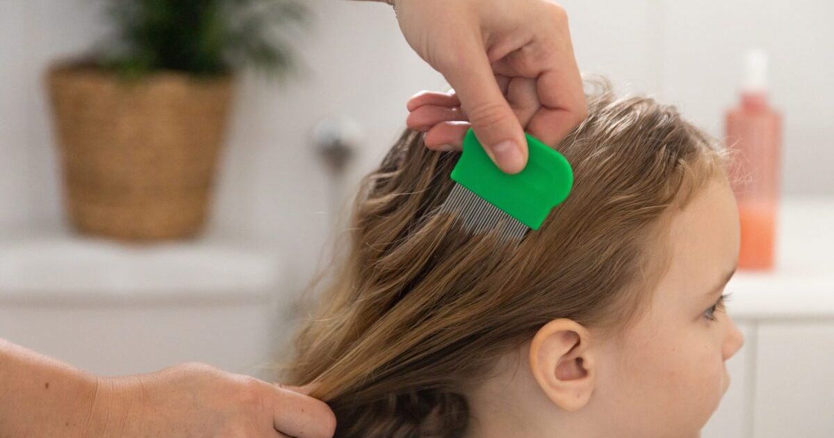 Remedii naturiste ANTI-PĂDUCHI: Scapă de paraziți. Ce funcționează cu adevărat