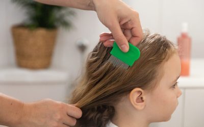 Remedii naturiste ANTI-PĂDUCHI: Scapă de paraziți. Ce funcționează cu adevărat