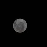 pana-la-luna-si-inapoi-nasa-lanseaza-in-aceasta-noapte-primul-zbor-cu-echipaj-uman-spre-luna-orarul.webp - NewsFactor