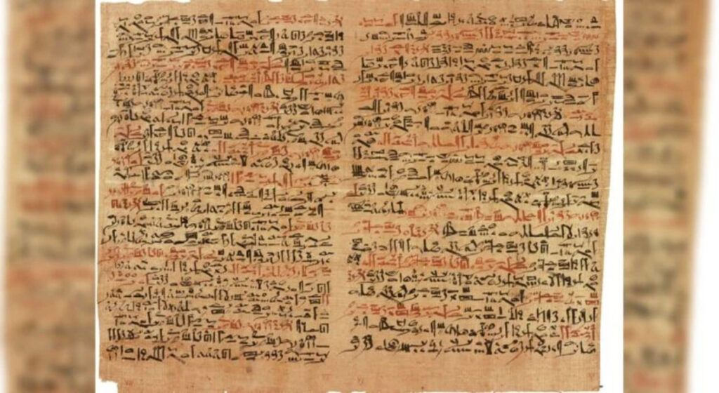 papirus-1024x560.jpg - NewsFactor