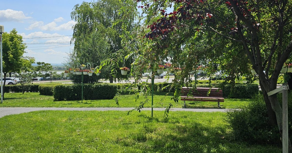 Vor da socoteală: Scandalul ajunge în fața legii