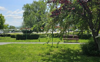 Vor da socoteală: Scandalul ajunge în fața legii