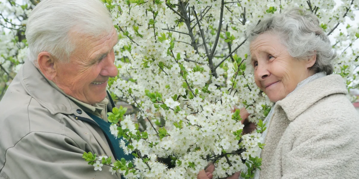 pensii-pensie-pensia-pensionari-pensionar-pensionara-10-e1742311496324.jpg - NewsFactor