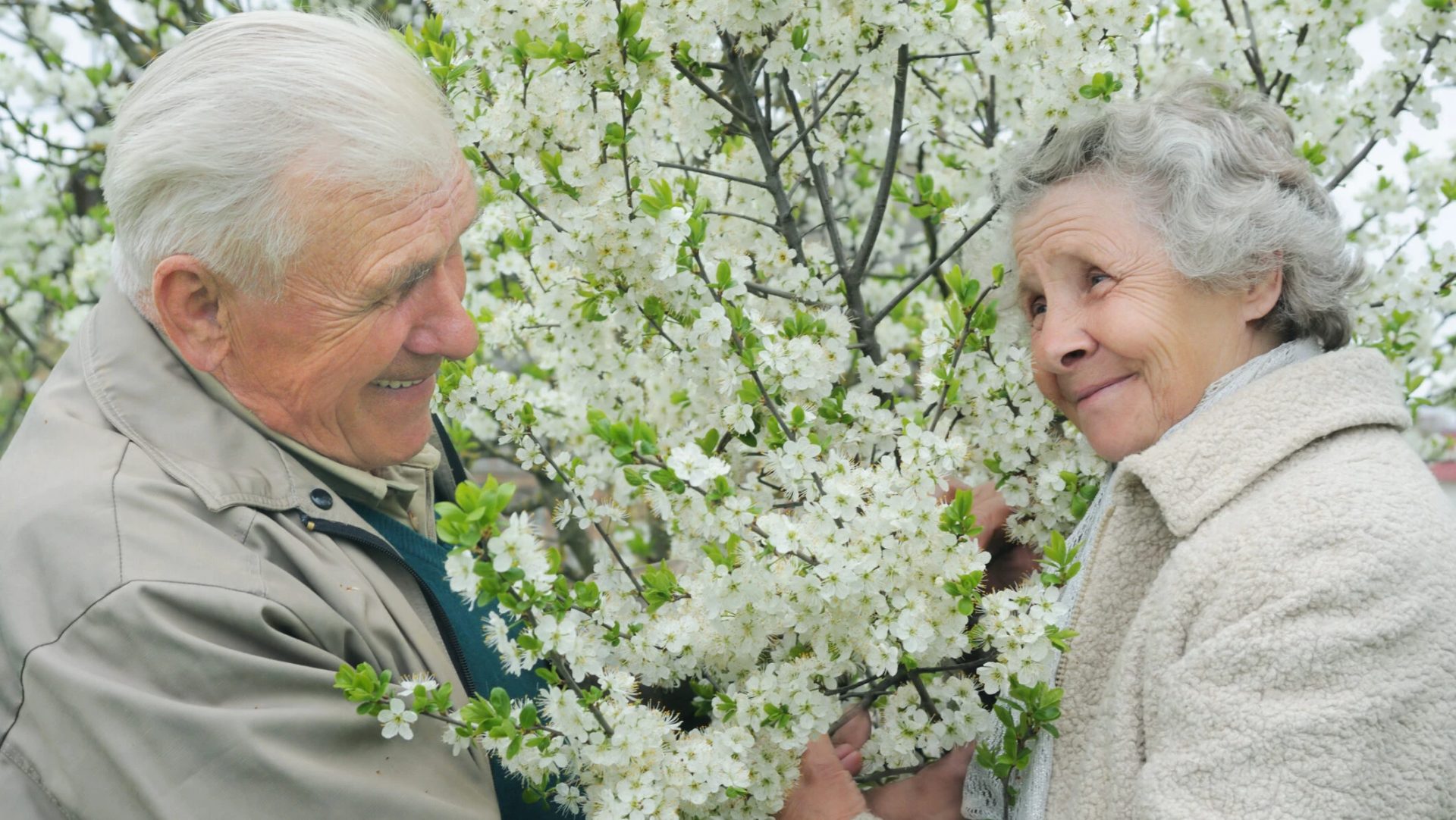 În Germania, pensionarii se pregătesc pentru o creștere a pensiilor cu aproximativ 3,7% începând cu 1 iulie 2026, un anunț crucial într-un context economic dificil, marcat de facturi tot mai mari la utilități și prețuri în creștere în magazine