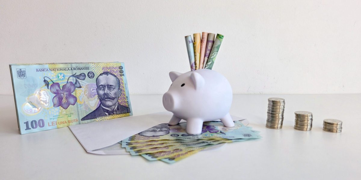 Noua pensie: România copiază modelul american cu conturi individuale