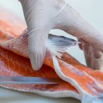 peste-3.jpg - NewsFactor