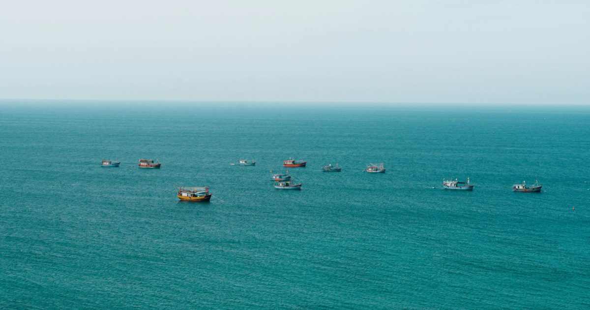 Filipine: China otrăvește apele Mării Chinei de Sud