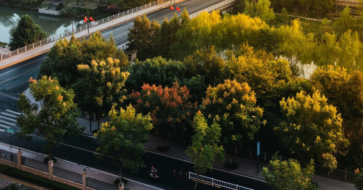 Galați: Patru păduri urbane, cu fonduri PNRR, o investiție de 3,5 milioane lei