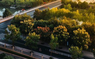 Galați: Patru păduri urbane, cu fonduri PNRR, o investiție de 3,5 milioane lei