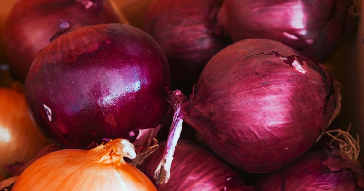 Noua ceapă roșie cucerește: Mai dulce și mai blândă la gust