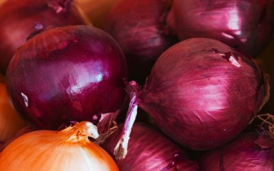Noua ceapă roșie cucerește: Mai dulce și mai blândă la gust