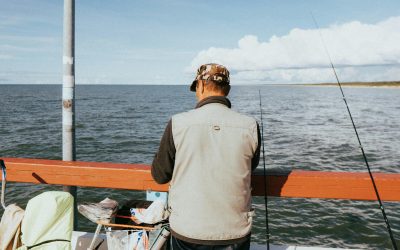 UE recunoaște eșecul în Marea Baltică: Pescuitul cere revizuire
