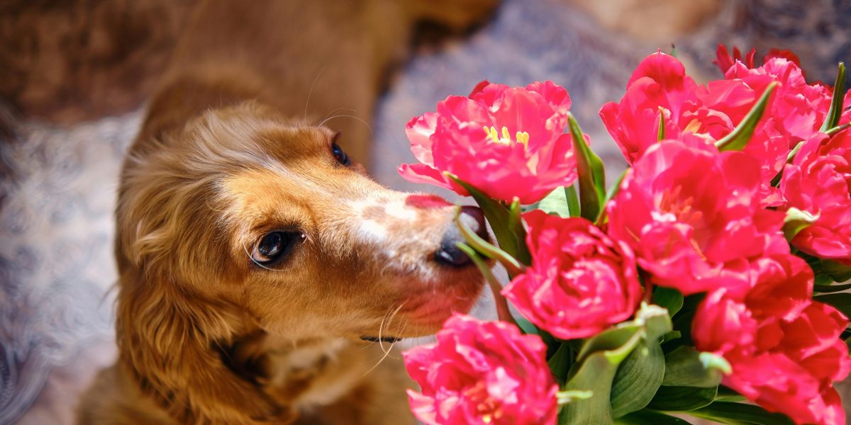 pexels-sb-9341498-scaled.jpg - NewsFactor