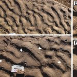 piele-de-elefant-roci-gsw_Descopera.jpg - NewsFactor