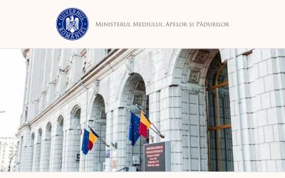 Guvernul schimbă regulile: Compensări pentru lemn nerecoltat, în dezbatere publică