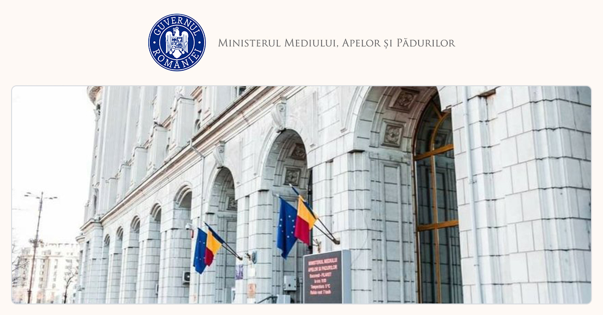 Guvernul schimbă regulile: Compensări pentru lemn nerecoltat, în dezbatere publică