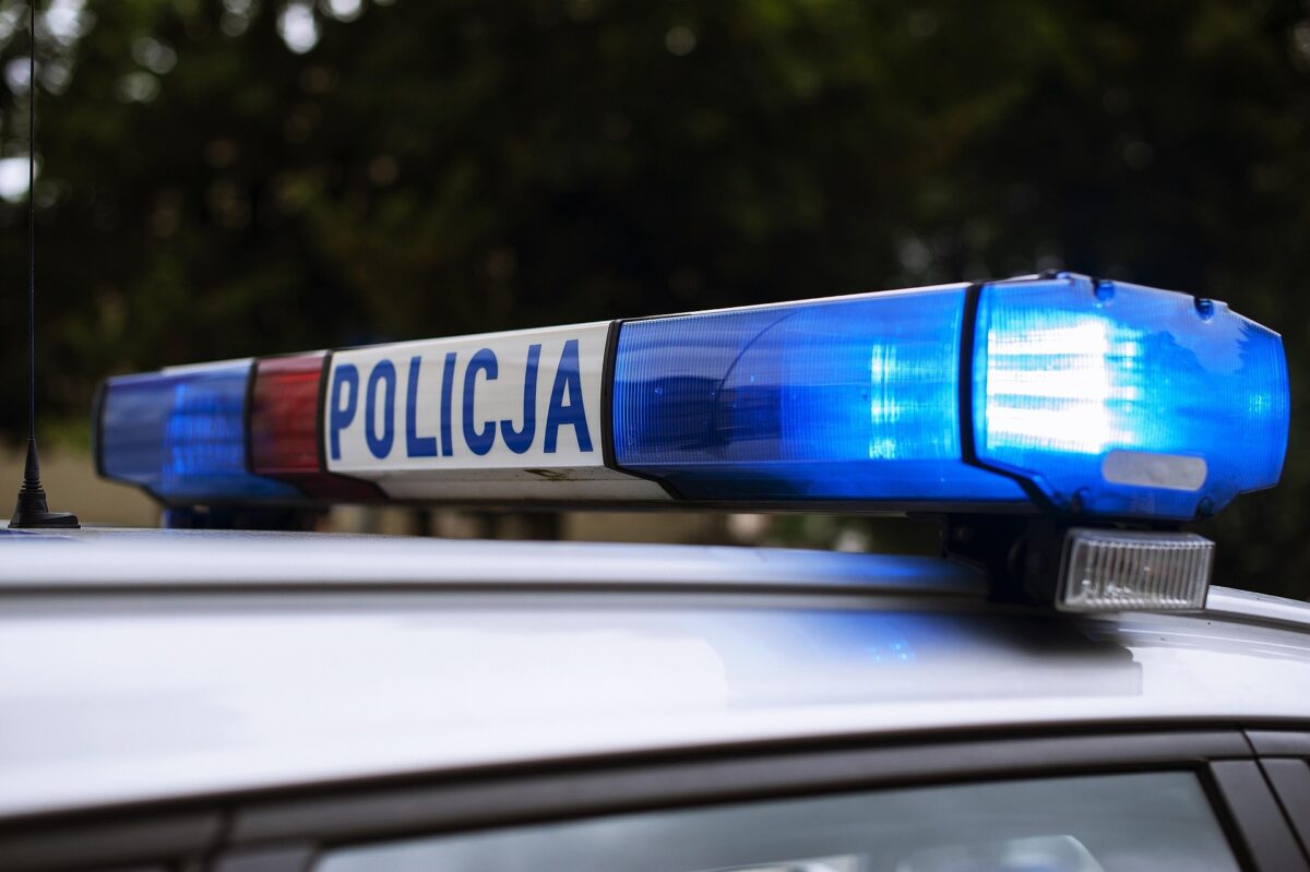 Un bărbat dezbrăcat a atacat o femeie care încerca să ajute un animal rănit, în Polonia O femeie din Polonia s-a confruntat cu o experiență traumatizantă după ce a încercat să ajute un animal rănit