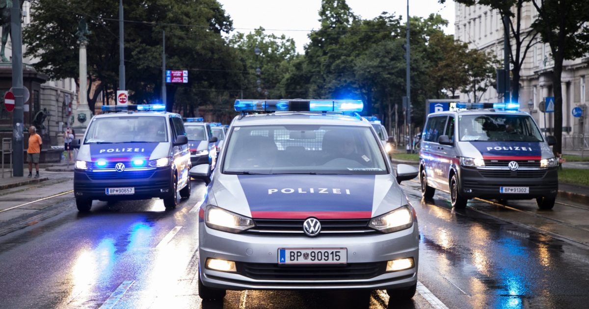 Viena: Bandă de escroci români, prinsă de poliție